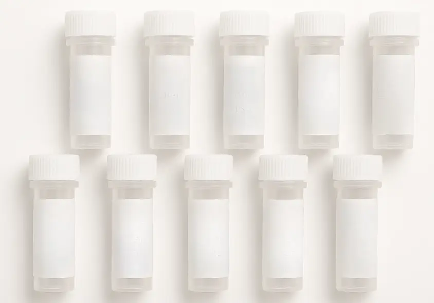 IRF2 293T Cell Transient Overexpression Lysate(Denatured)