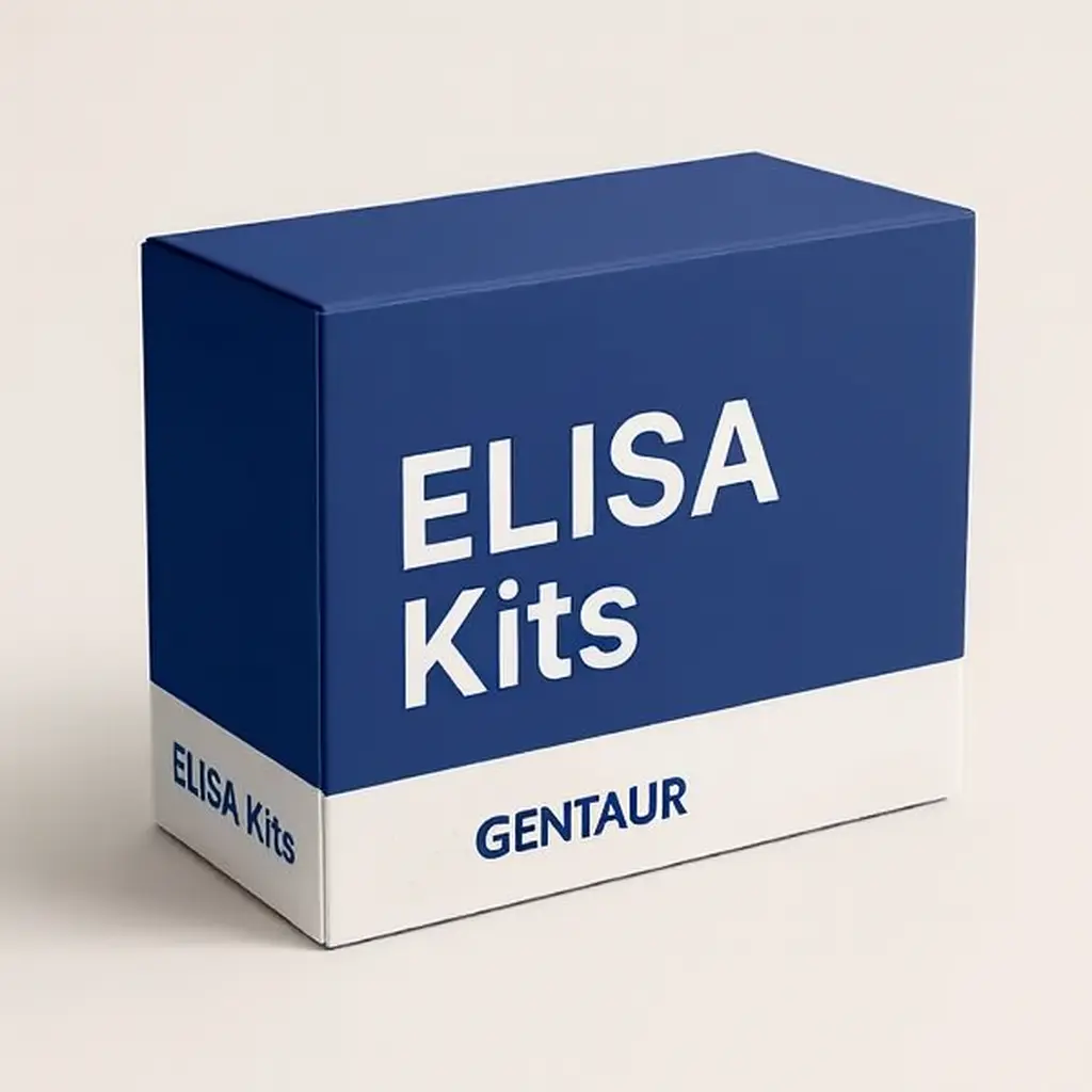 IS(serum indoxyl sulfate) ELISA Kit