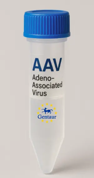 IPCEF1 AAV Vector (Mouse) (CMV)